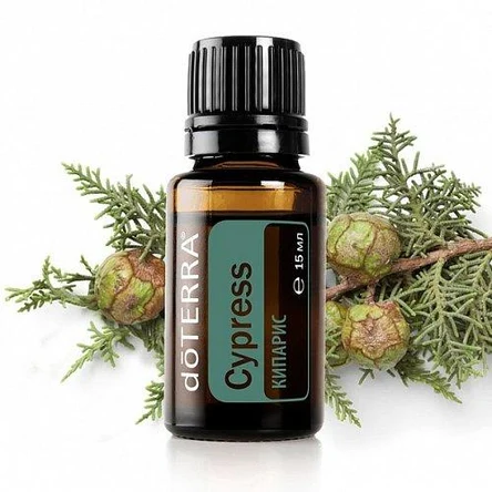 Эфирное масло кипариса