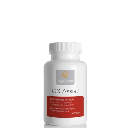 Джи-Экс Ассист. Очищающая смесь для ЖКТ