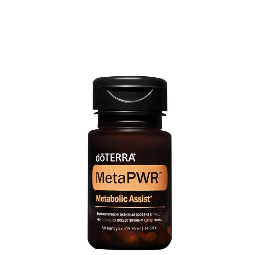 MetaPWR Assist